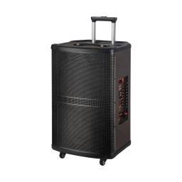 CAJA AMPLIFICADA 12"